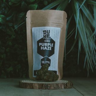 Purple Haze Hydroponie - Duke
