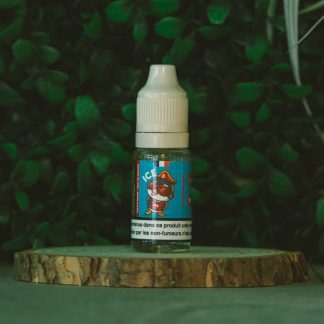 Spring Vibes - Ice - 10ml