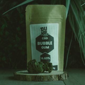Bubblegum - Indoor - DUKE