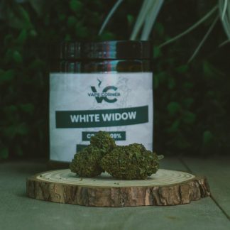 White Widow - Indoor - DUKE