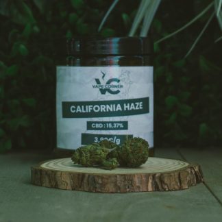 California Haze - Indoor - DUKE