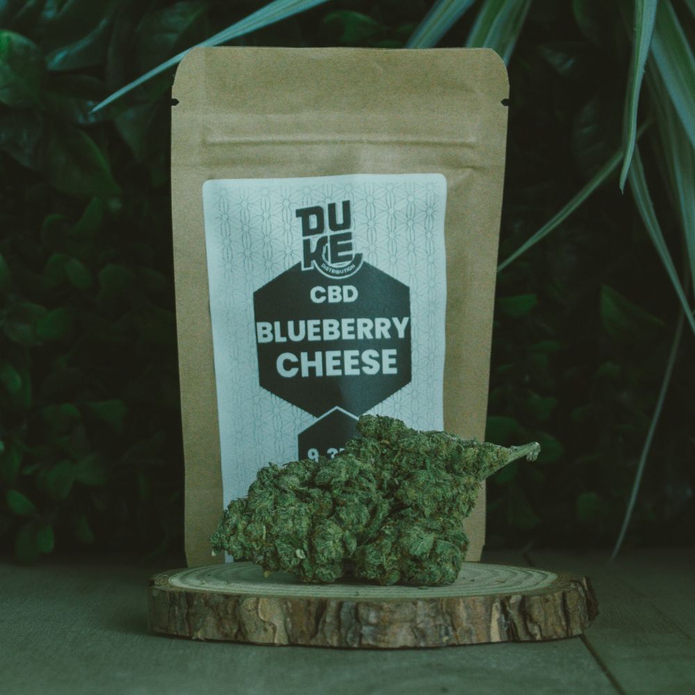 Blueberry Cheese - Hydroponie - DUKE