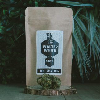 Walter White - Hydroponie - CBD