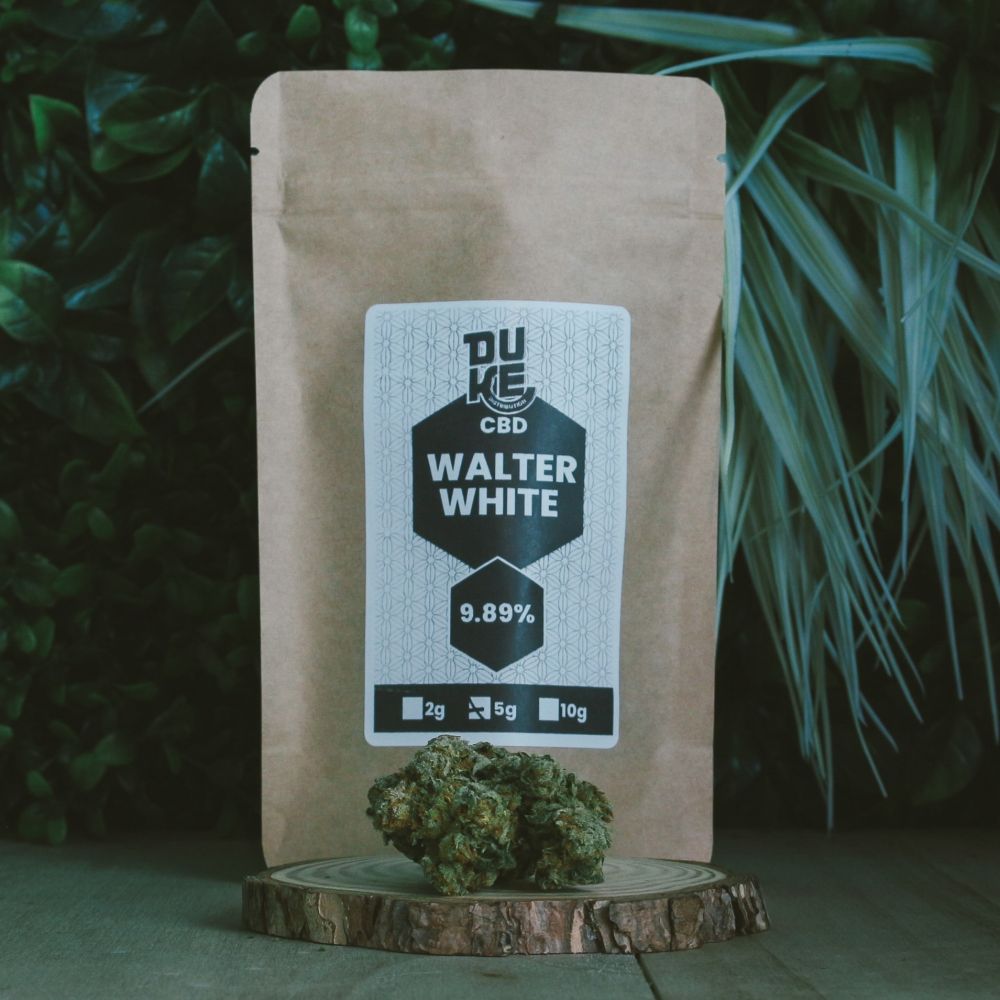 Walter White - Hydroponie - CBD