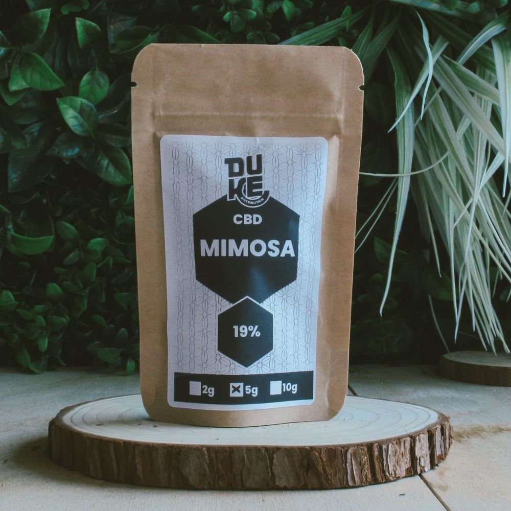 Mimosa - Hydroponie - DUKE 5G