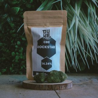 Rockstar - Indoor - Duke