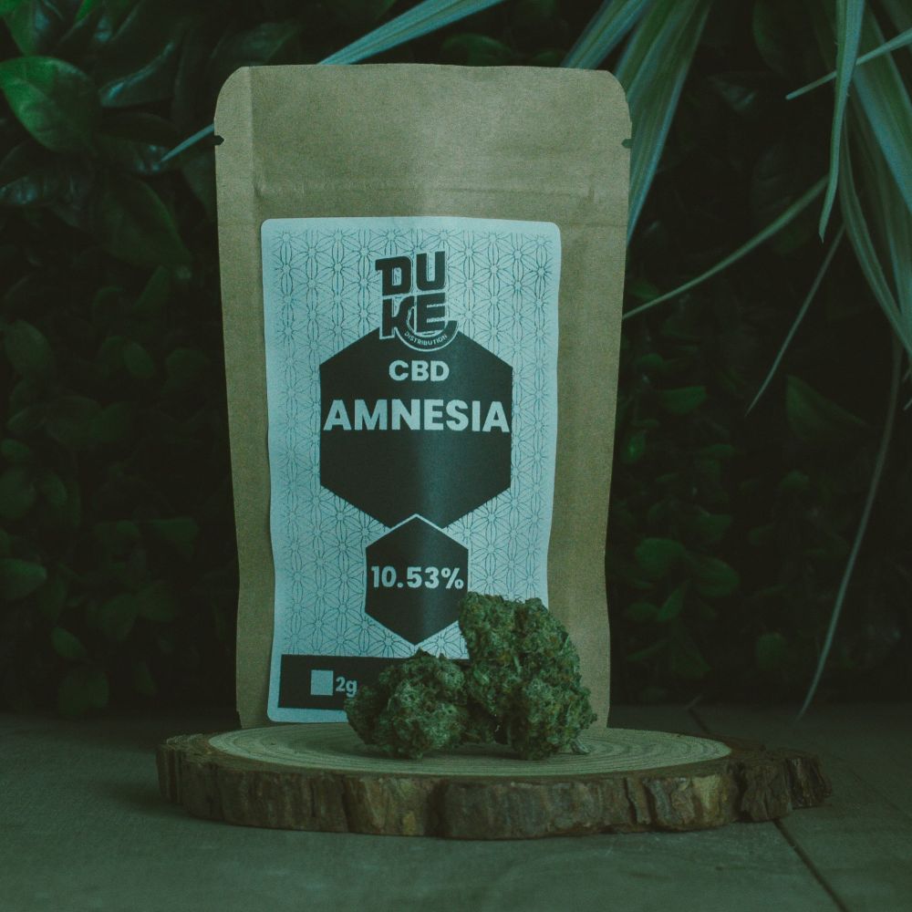 Amnesia - Hydroponie - DUKE – Image 2