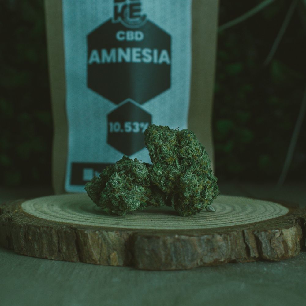 Amnesia - Hydroponie - DUKE – Image 3