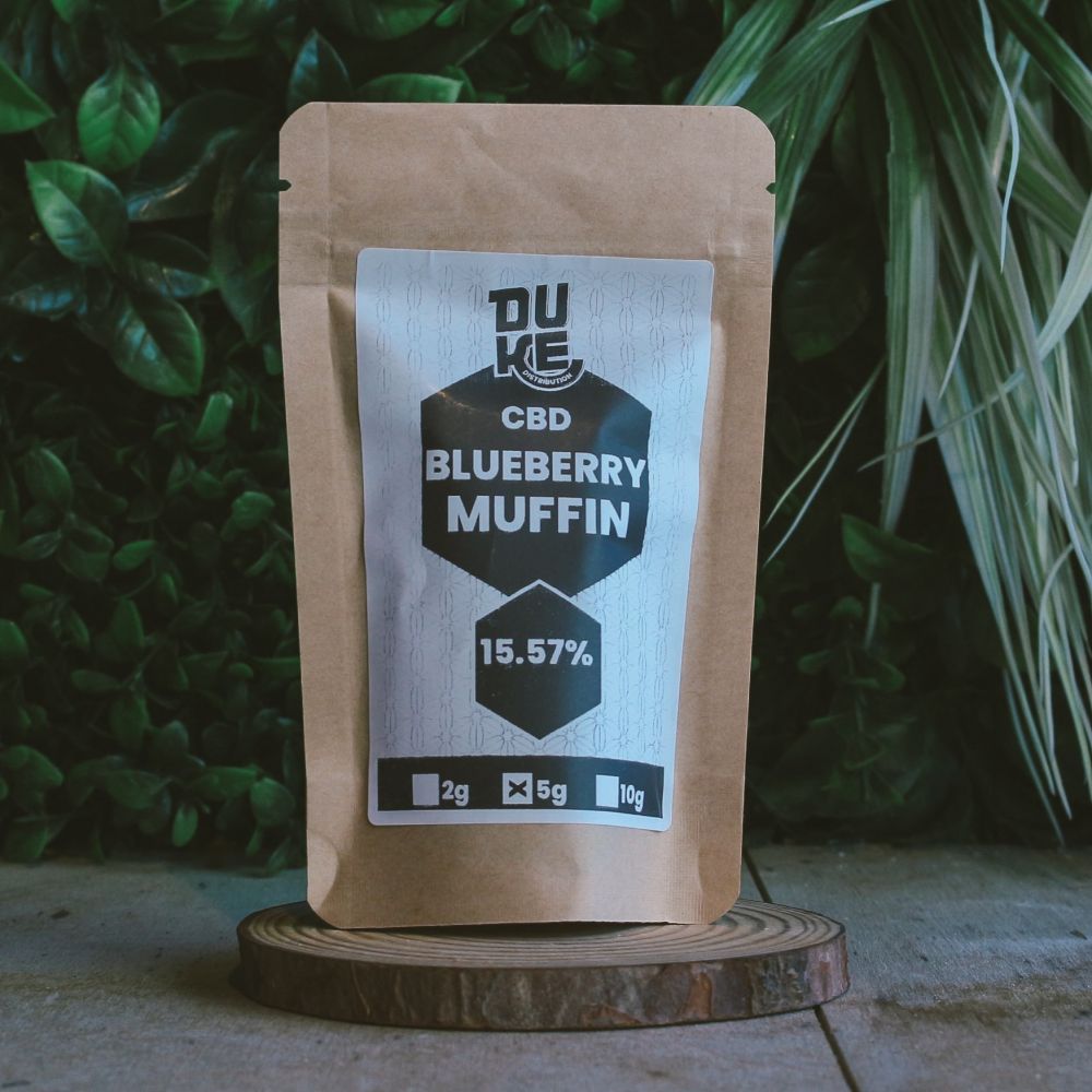 Blueberry Muffin - Hydroponie - DUKE – Image 2