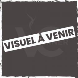 Res TFV18 Meshed Smok 0.33 ( COMMANDE CLIENT )