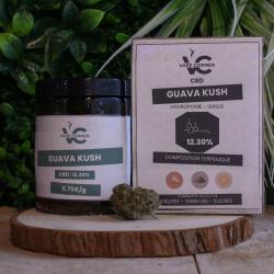 Guava Kush - Hydroponie - DUKE